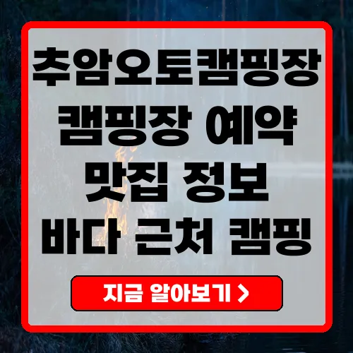 추암오토캠핑장 완벽한 바다 캠핑의 모든 것
