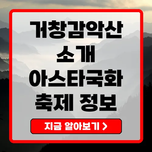 거창감악산 등산코스와 아스타국화 축제 완벽 가이드