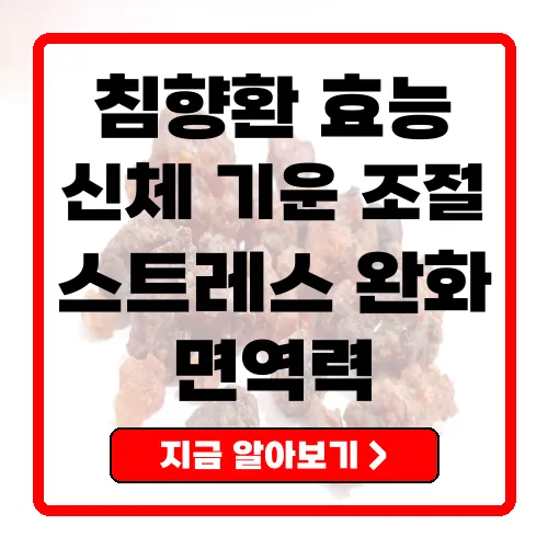 침향환 효능 신체와 마음을 치유하는 자연의 힘