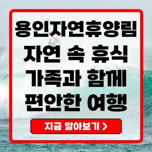 용인자연휴양림 완벽 가이드 입장료, 주차료와 숙소 예약 방법 총정리