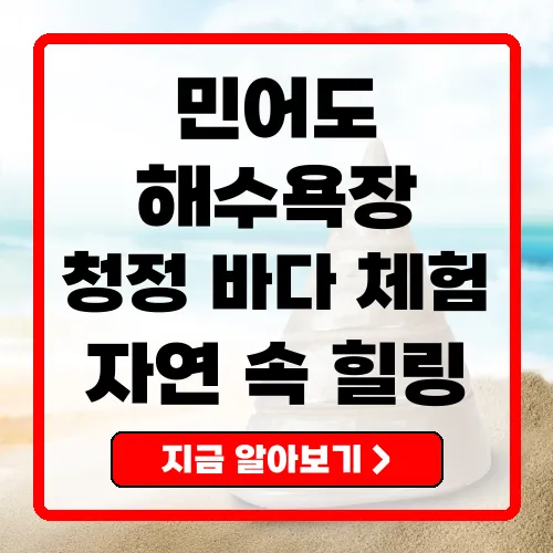 민어도 해수욕장 청정 바다와 자연 체험의 모든 것
