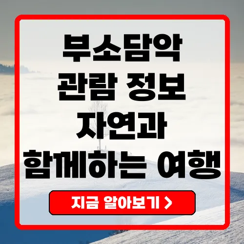 부소담악의 모든 것 방문 정보와 꿀팁 총정리