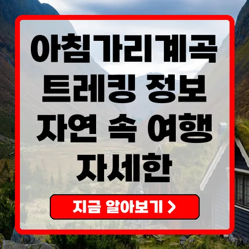 아침가리계곡 트레킹 가이드 자연 속에서 즐기는 힐링 여행