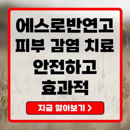 에스로반연고 효과, 사용법 및 안전성 완벽 가이드