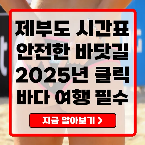 2025년 제부도물때시간표 - 안전한 바닷길 여행을 위한 필수 가이드
