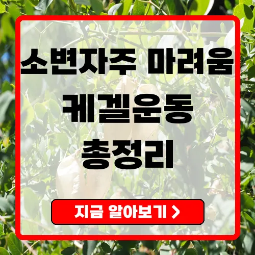 소변자주마려움 원인·대처법