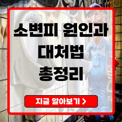 소변피(혈뇨) 원인과 대처법