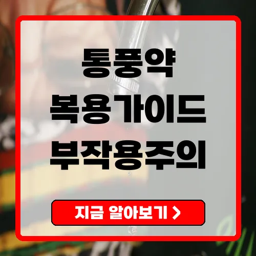 통풍약 복용과 관리 총정리