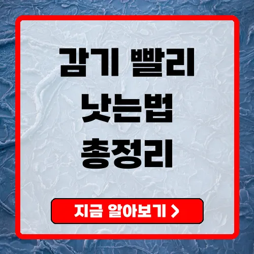 감기 빨리 낫는 법 7가지