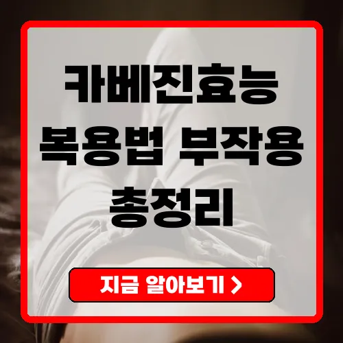 카베진효능 복용법·부작용 총정리
