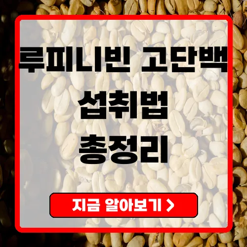 루피니빈 효능과 섭취법