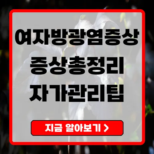 여자방광염증상 완전정리