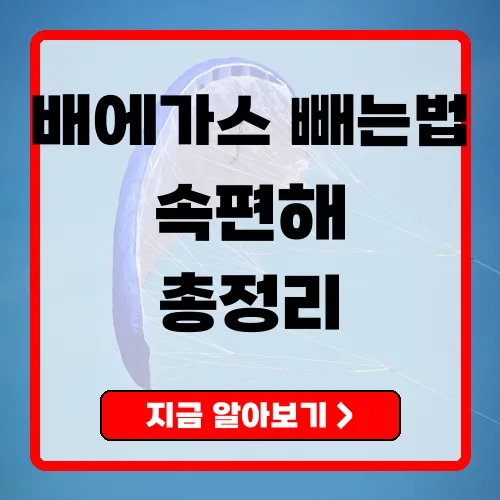 배에가스빼는법 바로완화