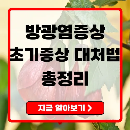 방광염증상 총정리
