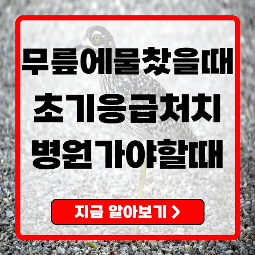 무릎에 물찼을 때 대처법