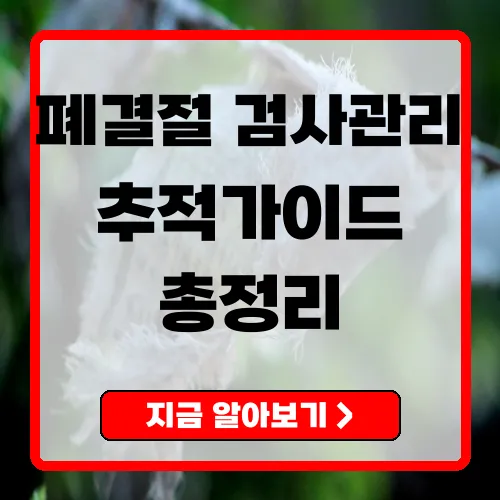 폐결절 검사와 관리 가이드