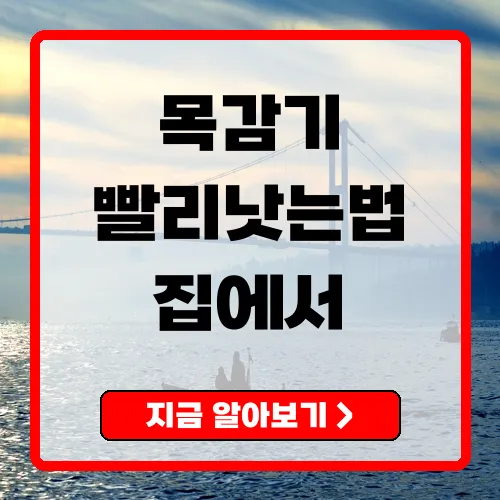 목감기빨리낫는법 집에서 빠른 대처