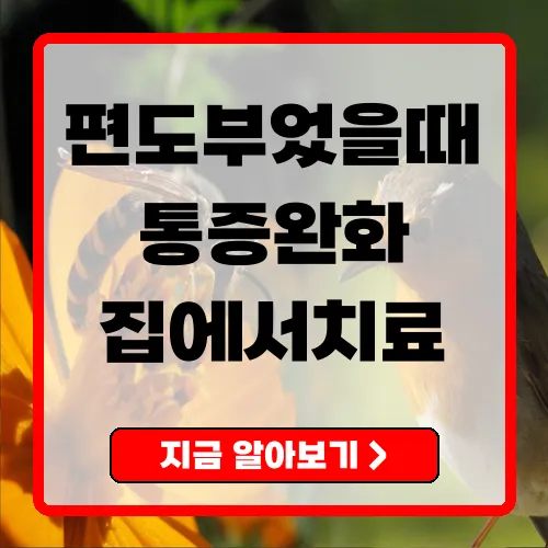 편도부었을때 증상과 대처법