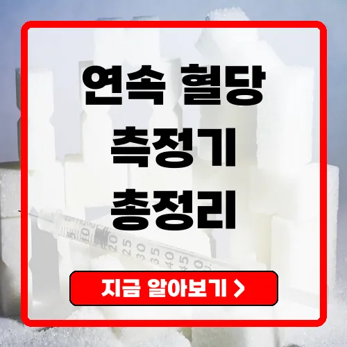 연속혈당측정기 사용 가이드