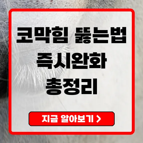 코막힘 뚫는법 4가지 즉시완화