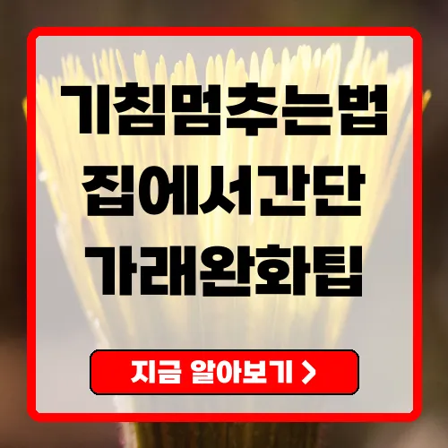 기침멈추는법 실전 가이드