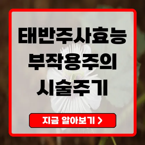 태반주사효능 총정리