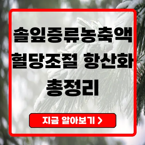 솔잎증류농축액의 효능과 복용법