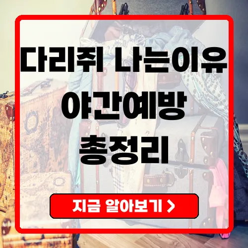 다리쥐나는이유와 예방법 총정리