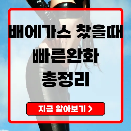 배에가스찼을때 빠른 완화법