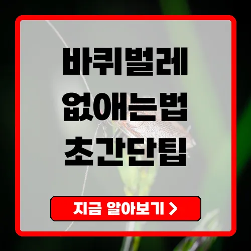 바퀴벌레없애는법 완전정복