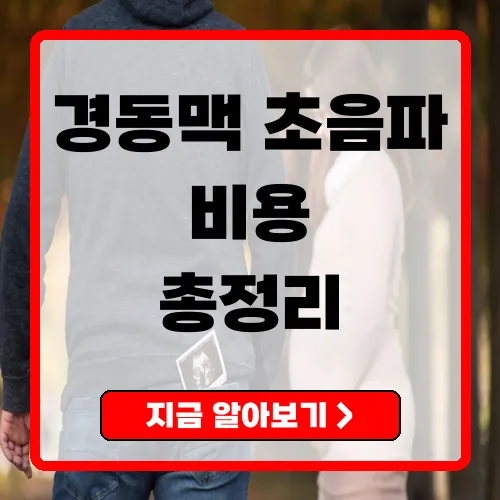 경동맥초음파비용 총정리