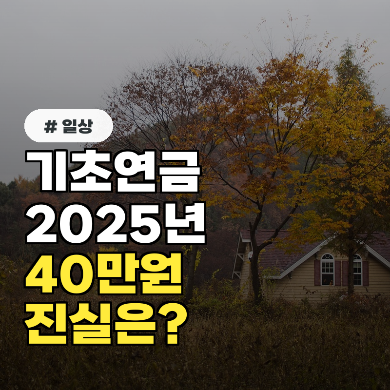 기초연금 인상, 2025년에는 정말 40만 원까지 오를 수 있을까?