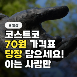 코스트코 가격표에 ’70원’ 보이면 당장 담으세요! 아는 사람만 사는 비밀