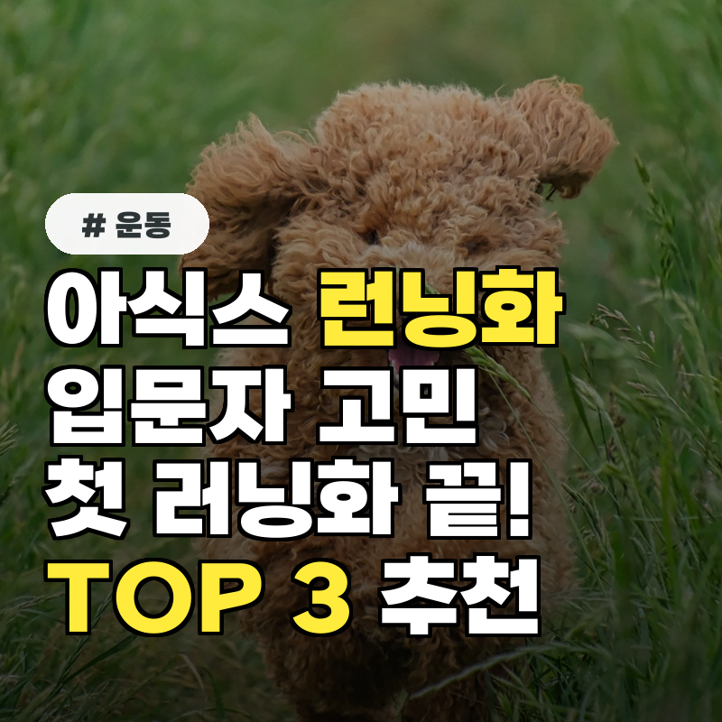 아식스 런닝화 입문? 첫 러닝화 고민 끝! 초보자용 TOP 3