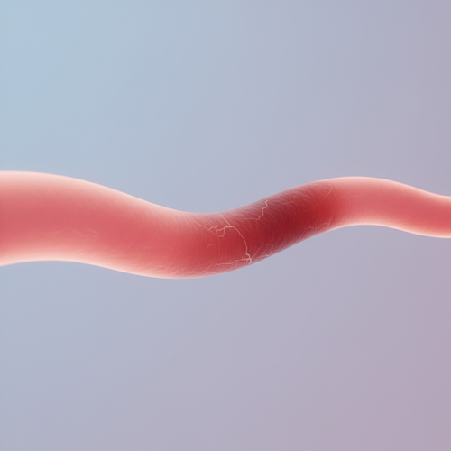 ‘침묵의 살인자’ 고지혈증, 왜 방치하면 위험할까요?