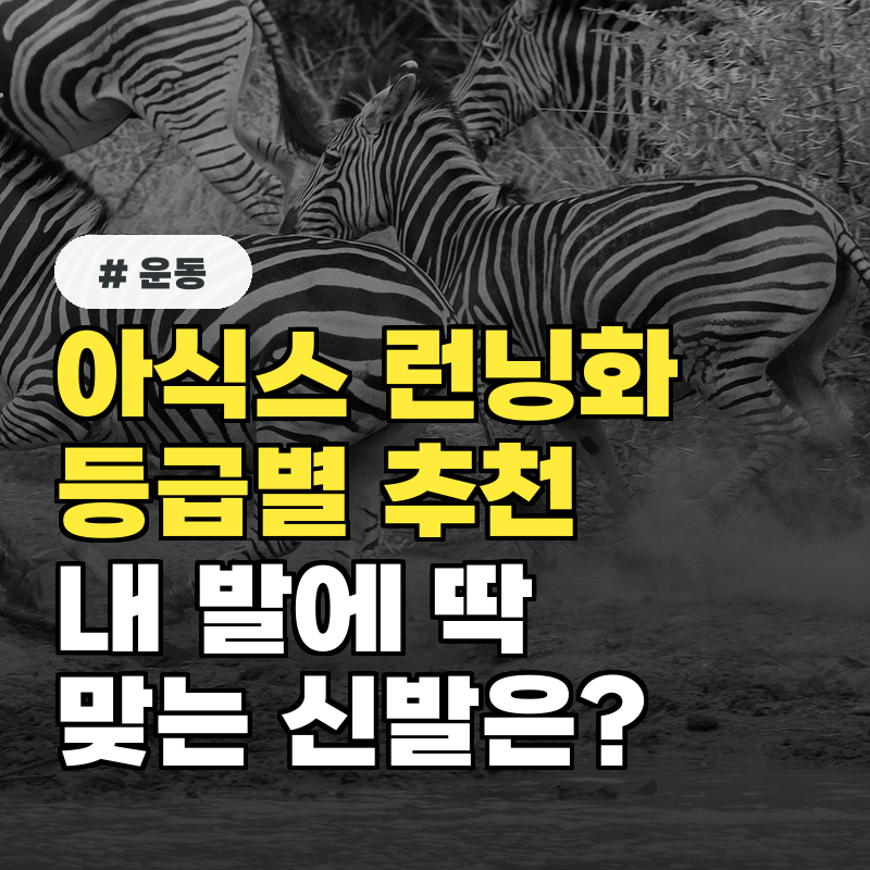 아식스 런닝화 등급별 추천! 내 발에 딱 맞는 신발 찾는 법