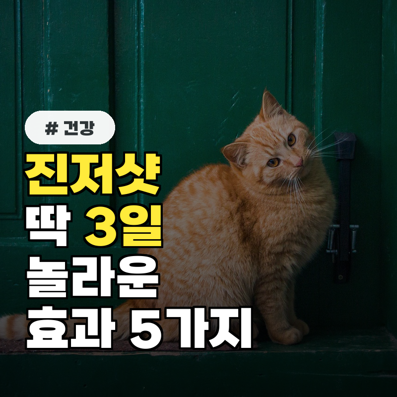 진저샷, 딱 3일만 마셔도 몸이 달라지는 놀라운 효과 5가지
