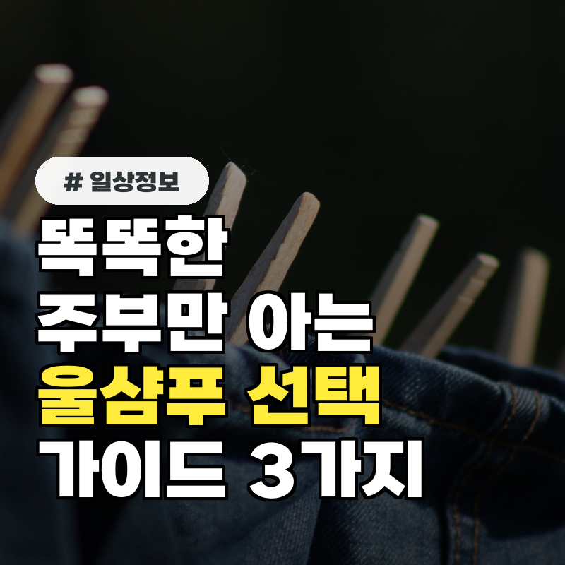 똑똑한 주부만 아는! 울샴푸 캡슐·액상형 최적의 선택 가이드 3가지