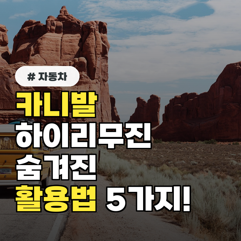 카니발 하이리무진 숨겨진 활용법 5가지! 패밀리카 넘어 비즈니스까지