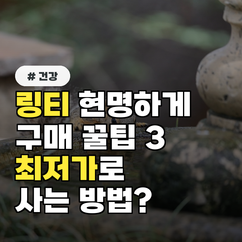 링티 현명하게 구매하는 꿀팁 3가지! 최저가로 사는 방법은?