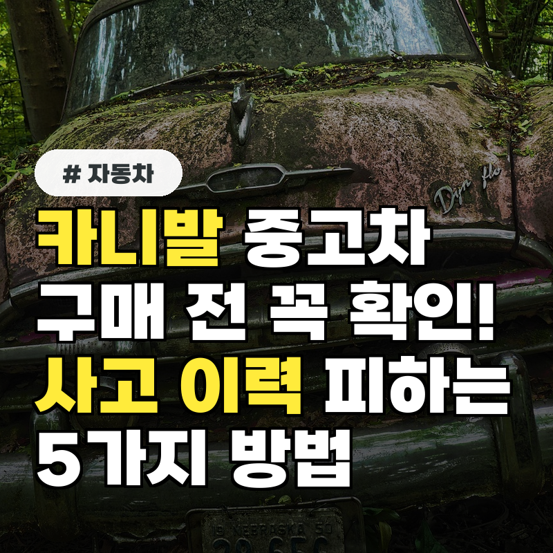 카니발 중고차 구매 전 꼭 확인! 숨겨진 사고 이력 피하는 5가지 방법