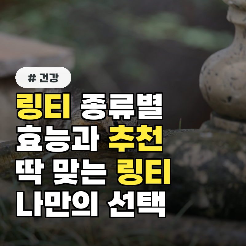 링티 종류별 효능과 추천 대상 5가지, 나에게 딱 맞는 링티는?