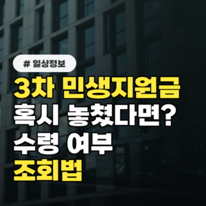 3차 민생지원금, 혹시 놓쳤다면? 과거 수령 여부 조회법