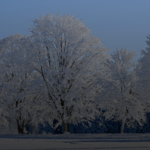 2026년 혹한기 대비! 야외 활동 시 필터링 없는 발열내의 추천
