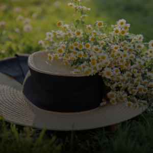 불면증에 캐모마일이 특효? 잠 못 드는 당신을 위한 섭취법 3가지