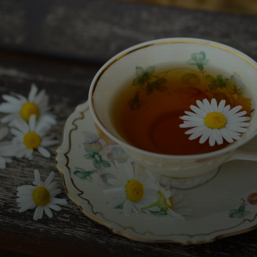 살 빠지는 줄 알았던 캐모마일? 의외의 진짜 숨겨진 효능 5가지