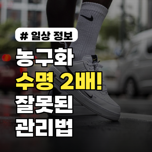 농구화 수명 2배 늘리기! 잘못된 관리법, 당장 멈추세요