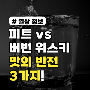 피트 vs 버번 위스키 종류! 당신이 몰랐던 맛의 반전 3가지