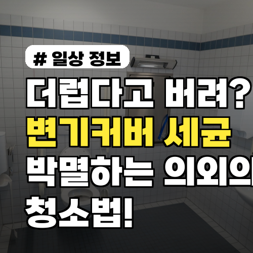 더럽다고 버려? 변기커버 세균 박멸하는 의외의 청소법