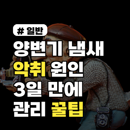 양변기 냄새 악취 원인? 3일 만에 잡는 청소 관리 꿀팁